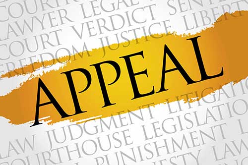 When "No Reversible Error" ends the path.